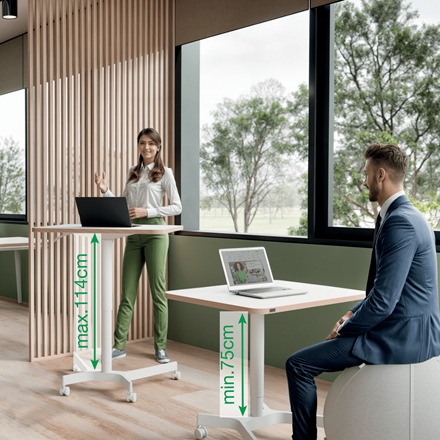 Leitz Ergo Small Sit Standing Desk. Product colour: White, Maximum weight capacity: 20 kg, Height adjustment range: 75 - 1