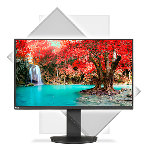 Monitor LCD NEC Display MultiSync EA271Q 685,8 mm (27") Class WQHD - 16:9 - Nero - 68,6 cm (27") Viewable - WLED Luce post