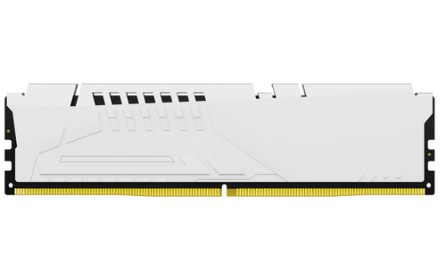 Kingston FURY Beast RAM Module for Motherboard - 32 GB (2 x 16GB) - DDR5-5600/PC5-44800 DDR5 SDRAM - 5600 MHz - CL36 - 1.2