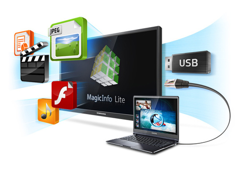 Samsung MagicInfo Lite - License - 20 Additional Display - Standard - PC