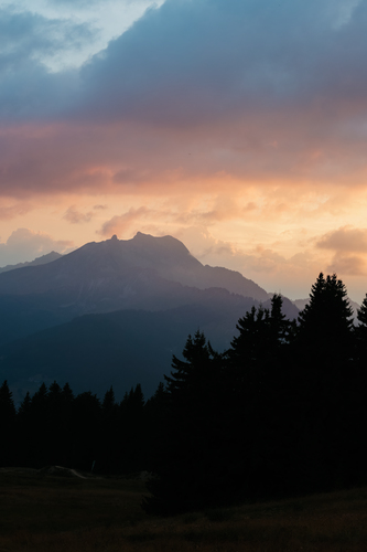 Canon EOS R6 Mark II 24.2 Megapixel Mirrorless Camera Body Only - Black - CMOS Sensor - Autofocus - 7.6 cm (3") Touchscree