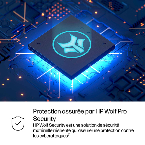 HP Z2MiniG1i Ultra7-265/512 W11P Dutch/French localization - Workstation. Processor family: Intel Core Ultra 7, Processor 