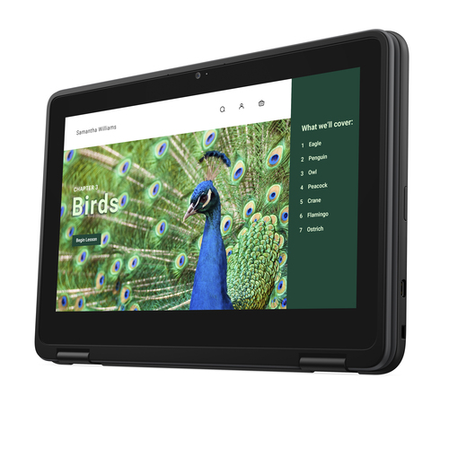 DELL Chromebook 3120 2-in-1. Product type: Chromebook, Form factor: Convertible (Folder). Processor family: Intel® N, Proc