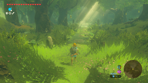 Nintendo The Legend of Zelda: Breath of the Wild - Switch 2 Edition. Game edition: Nintendo Switch 2 Edition, Platform: Ni