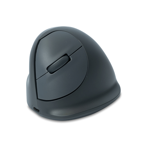 R-GO ERGONOMIC MOUSE HE BASIC M EDIUM WIRELESS