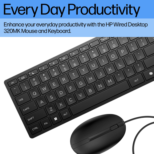 HP Wired Desktop 320MK Tastatur & Maus - Deutsch - Tastatur, Kabel USB Typ-A, Plunger, Schwarz - Maus, Red Tracking, Kabel