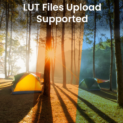 BenQ PVS7. Display diagonal: 17.8 cm (7"), Display resolution: 1920 x 1200 pixels, Display technology: IPS. Product colour