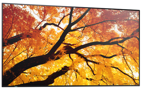 Sharp MultiSync M552. Produktdesign: Digital Signage Flachbildschirm. Bildschirmdiagonale: 139,7 cm (55"), Bildschirmtechn