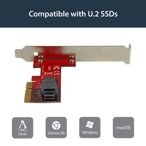 StarTech.com U.2 to PCI Express Adapter - TAA Compliant