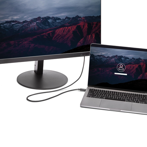 StarTech.com USB-C to DVI Cable - 2 m - 1080p - 1920x1200 - USB C DVI Monitor Cable - USB C Cable - Computer Monitor Cable