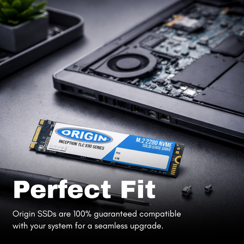Origin Inception 256 GB Solid State Drive - M.2 2280 Internal - PCI Express - 3 Year Warranty