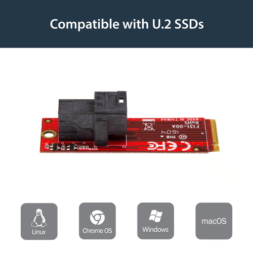 StarTech.com M.2 to U.2 Adapter - TAA Compliant