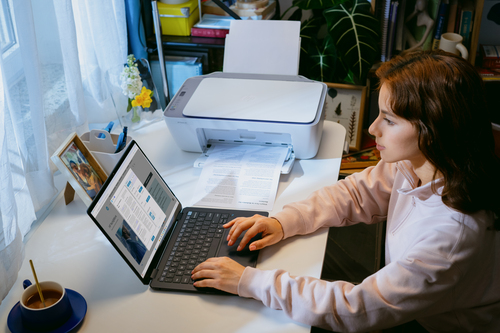 HP Deskjet 2922 Wireless Inkjet Multifunction Printer - Colour - White - Copier/Printer/Scanner - 4800 x 1200 dpi Print - 