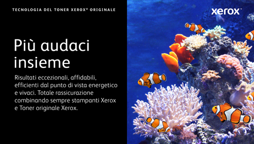 XEROX C230 / C235 MAGENTA HIGH