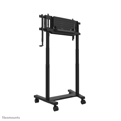 Neomounts MOVE Lift XL FL55-975BL1 Display Cart - 160 kg Load Capacity - 4 Casters - Steel - 125.30 cm (49.33") Width x 81