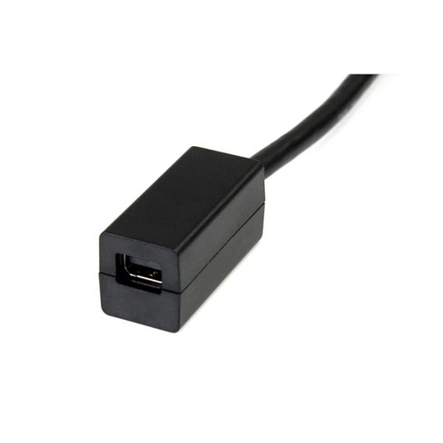 StarTech.com DP2MDPMF6IN 15.24 cm DisplayPort/Mini DisplayPort Video Cable Adapter - 1 Each - Cable for Monitor, Notebook,