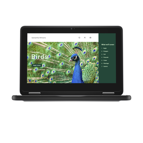 DELL Chromebook 3120 2-in-1. Product type: Chromebook, Form factor: Convertible (Folder). Processor family: Intel® N, Proc