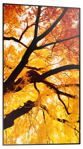 Sharp MultiSync M552. Produktdesign: Digital Signage Flachbildschirm. Bildschirmdiagonale: 139,7 cm (55"), Bildschirmtechn