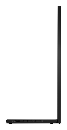 Lenovo M16 16" Class WUXGA LED Monitor - 16:10 - 40.6 cm (16") Viewable - In-plane Switching (IPS) Technology - WLED Backl