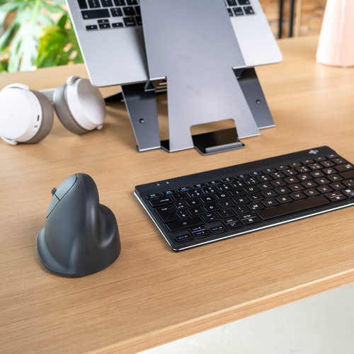 R-GO ERGONOMIC MOUSE HE BASIC M EDIUM WIRELESS