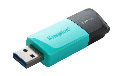 Kingston DataTraveler Exodia M DTXM 256 GB USB 3.2 (Gen. 1) Typ A Flash-Laufwerk - Schwarz, Teal - 1 Pack