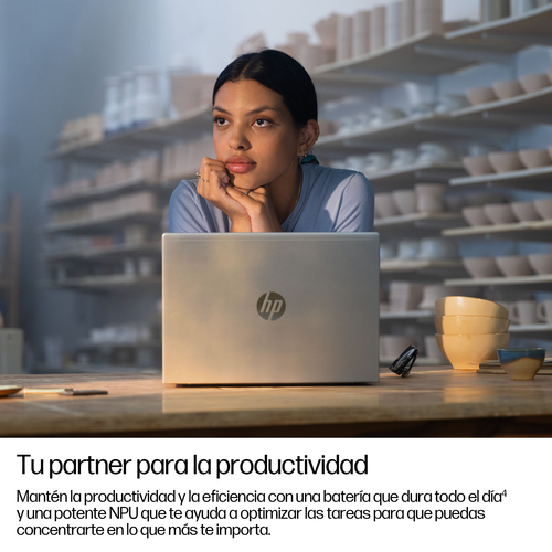 HP ProBook 4 G1q 35.6 cm (14") Copilot+ PC Notebook - WUXGA - Qualcomm Snapdragon X X1-26-100 - 32 GB - 1 TB SSD - Pike Si