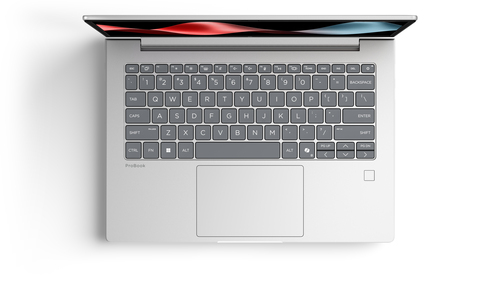 HP ProBook 4 G2a 35.6 cm (14") Notebook - WUXGA - AMD Ryzen 7 Ryzen 200 Series 250 - 32 GB - 512 GB SSD - Pike Silver Alum