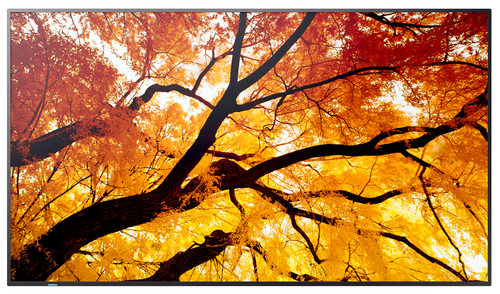 Sharp MultiSync M552. Produktdesign: Digital Signage Flachbildschirm. Bildschirmdiagonale: 139,7 cm (55"), Bildschirmtechn