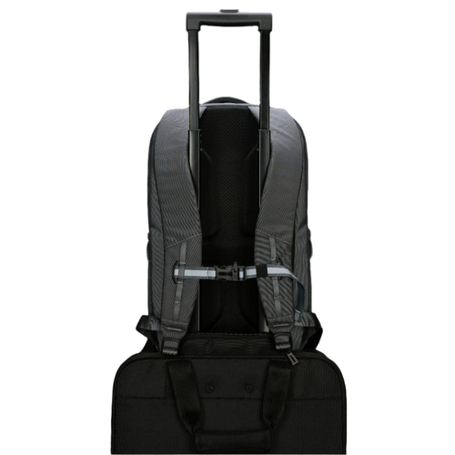 Targus TBB65802GL. Case type: Rucksack, Maximale Bildschirmgröße: 40,6 cm (16"), Tragegriff(e), Schultergurt. Gewicht: 730