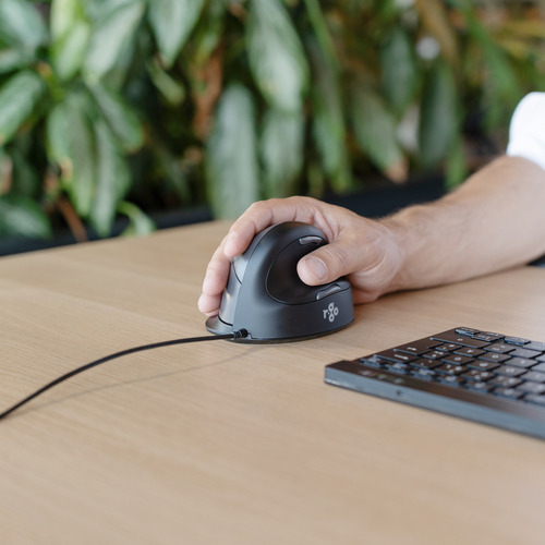 R-Go HE Break Vertical Mouse Maus - USB-Typ C - Optisch - 5 Taste(n) - Schwarz - Mac, Windows - Kabel - 2400 dpi Auflösung