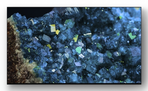 Sony 210.8 cm LCD TV