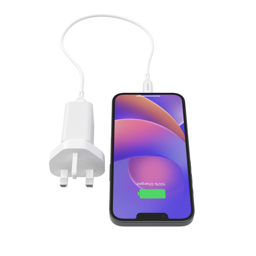 ZAGG Essentials 20 W Wechselstromadapter - 20 W