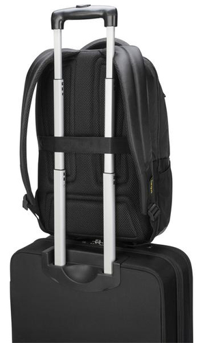 Targus CityGear TCG670GL Tasche (Rucksack) für 38,1 cm (15 Zoll) bis 43,9 cm (17,3 Zoll) Notebook, Tablet, Ausrüstung - Sc
