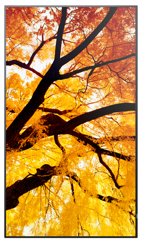 Sharp MultiSync M552. Produktdesign: Digital Signage Flachbildschirm. Bildschirmdiagonale: 139,7 cm (55"), Bildschirmtechn