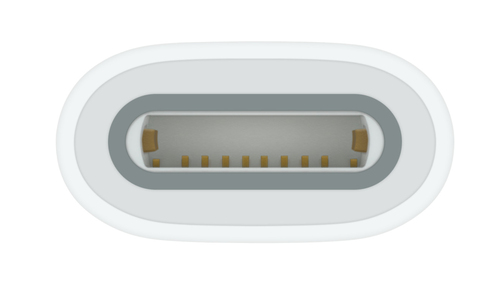 Der USB?C auf Apple Pencil Adapter ist erforderlich, um den Apple Pencil (1. Generation) mit dem iPad (10. Generation) zu 