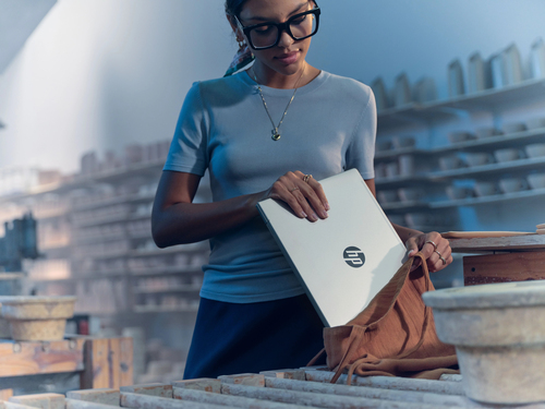 HP ProBook 4 G2a 35.6 cm (14") Notebook - WUXGA - AMD Ryzen 7 Ryzen 200 Series 250 - 32 GB - 512 GB SSD - Pike Silver Alum