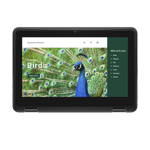 DELL Chromebook 3120 2-in-1. Product type: Chromebook, Form factor: Convertible (Folder). Processor family: Intel® N, Proc