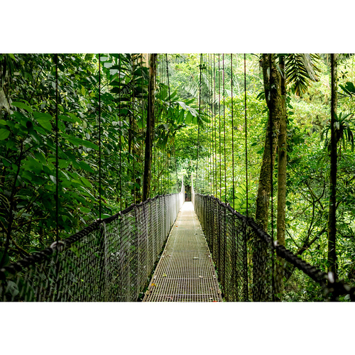 HP EliteBook 6 G1ah 35.6 cm (14") Notebook - WUXGA - AMD Ryzen 5 220 - 16 GB - 512 GB SSD - Pike Silver - AMD Chip - 1920 