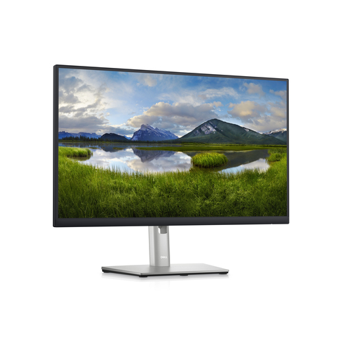 DELL 24 MONITOR - P2423D 23.8 IPS 1000:1 QHD 2560X1440