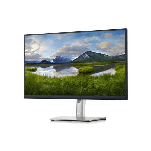 DELL 24 MONITOR - P2423D 23.8 IPS 1000:1 QHD 2560X1440