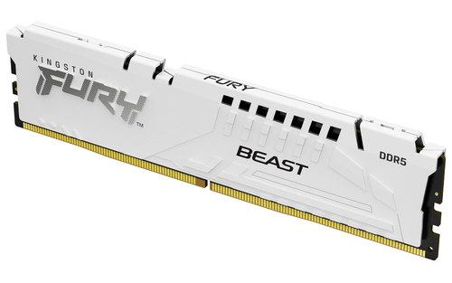 Kingston FURY Beast RAM Module for Motherboard - 32 GB (2 x 16GB) - DDR5-5600/PC5-44800 DDR5 SDRAM - 5600 MHz - CL36 - 1.2