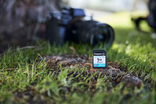 Kingston Canvas Go! Plus 1 TB SDXC - 1 - 200 MB/s Leitura - 160 MB/s Gravar