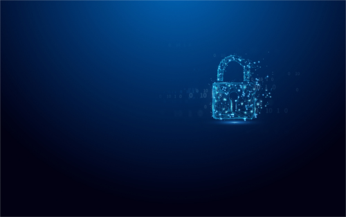 Kingston Technology IronKey 32GB Vault Privacy 50 AES-256 Encrypted, FIPS 197. Capacity: 32 GB, Device interface: USB Type