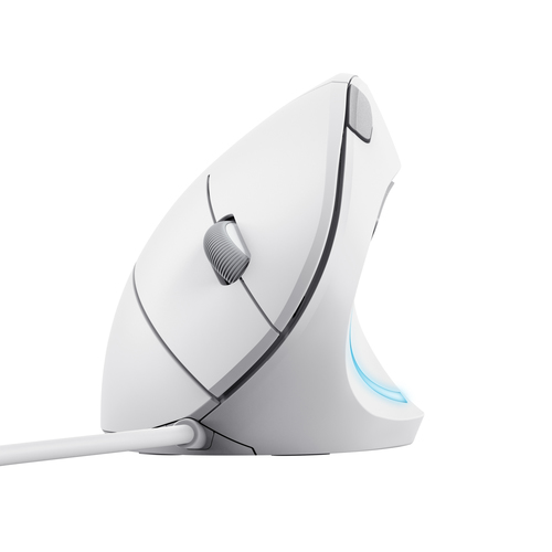 Trust Verto Maus - USB 2.0 - Optisch - 6 Taste(n) - Weiß - Kabel - 1600 dpi Auflösung - Scroll-Rad - Groß Hand-/Handfläche
