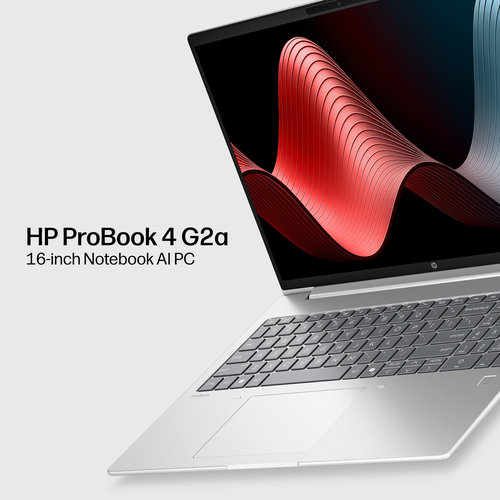 HP ProBook 4 G2a 40.6 cm (16") Notebook - WUXGA - AMD Ryzen 7 Ryzen 200 Series 250 - 32 GB - 512 GB SSD - Pike Silver Alum