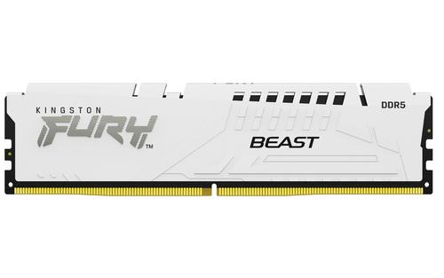 Kingston FURY Beast RAM Module for Motherboard - 32 GB (2 x 16GB) - DDR5-5600/PC5-44800 DDR5 SDRAM - 5600 MHz - CL36 - 1.2