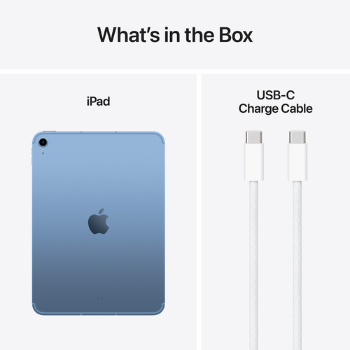 11-INCH IPAD WI-FI+CELL 256GB BLUE
