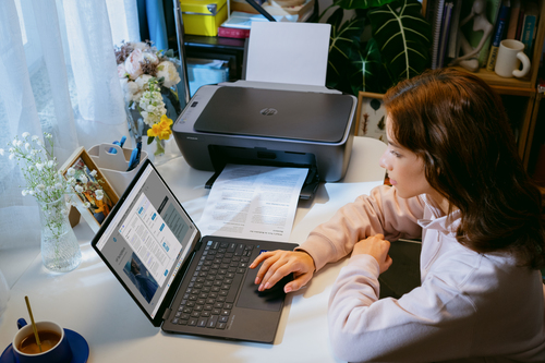 HP Deskjet 2921 Kabellos - Tintenstrahl-Multifunktionsdrucker - Farbe - Grau - Kopierer/Drucker/Scanner - 4800 x 1200 dpi 