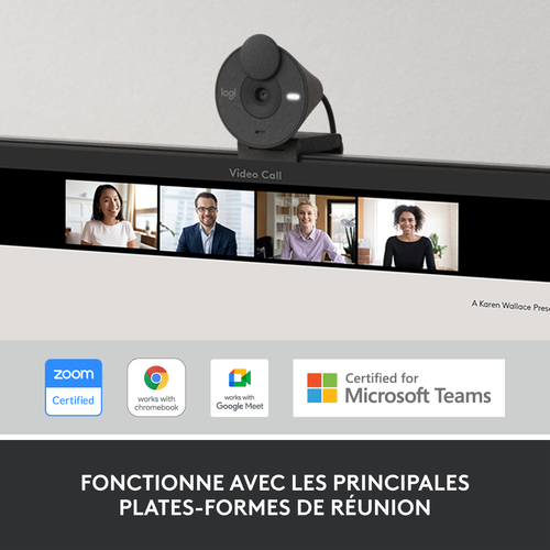 Webcam Logitech BRIO - Graphite - Vidéo 1920 x 1080