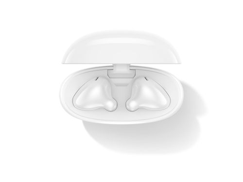 Lenovo E310. Product type: Headset. Connectivity technology: True Wireless Stereo (TWS), Bluetooth. Recommended usage: Cal